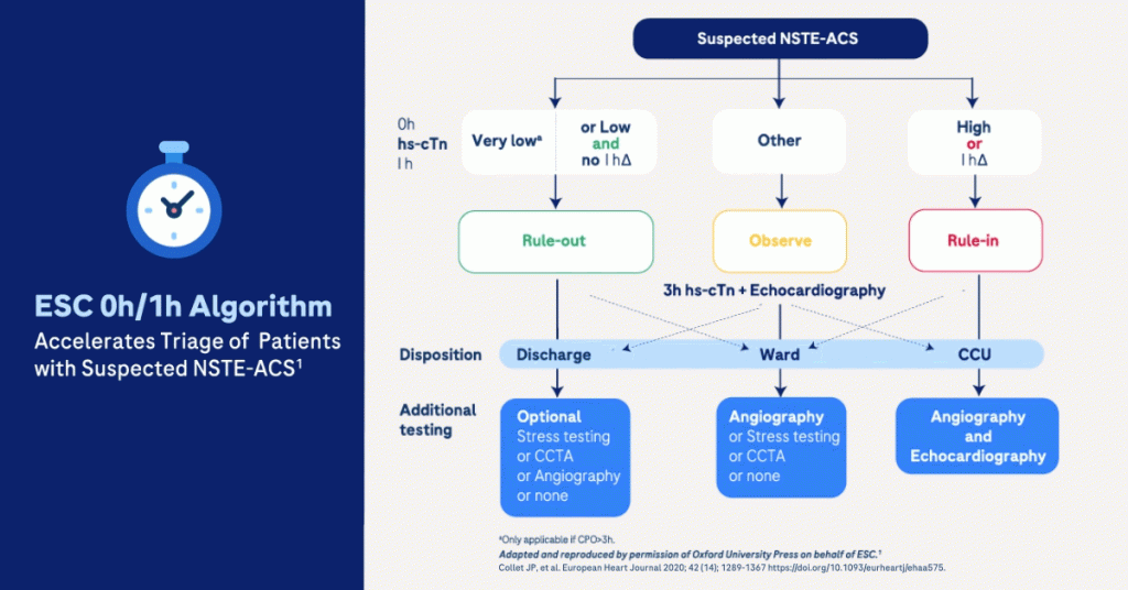 Flow chart depicting ESC 0h/1h Algorithm, Accelerates Triage of Patients with Suspected NSTE-ACS. 
On the right, Suspected NSTE-ACS branches into 3 results for 0h hs-cTn I h: Very low (only applicable if CPO>3h) or Low and no I h&Delta;, Other and High or I h&Delta;. 
Under Very low or Low and no I h&Delta;, an arrow points downwards to the text &ldquo;rule-out&rdquo; in green. 
Under Other, an arrow points downwards to the text: &ldquo;Observe&rdquo; in yellow. Below, the text:&rdquo; 3h hs-cTn + Echocardiography&rdquo; is written.
Under High or I h&Delta;, an arrow points downwards to the text: &ldquo;Rule-in&rdquo; in red.
From Rule-out, one bold arrow leads to Discharge, and one dotted arrow leads to Ward.
From Observe, one bold arrow leads to Ward, and two dotted arrows lead to discharge and CCU.
From High or I h&Delta;, one bold arrow leads to CCU, one dotted arrow leads to ward. 
For additional testing after discharge: an optional stress testing, CCTA, angiography or none can be done.
For additional testing afterwards, angiography, stress testing, CCTA or none can be done.
For additional testing after CCU, angiography and echocardiography can be done.
Diagram was adapted and reproduced by permission of Oxford University Press on behalf of ESC. Collet JP, et al. European Heart Journal 2020; 42(14); 1289-1367 https://doi.org/10.1093/eurheartj/ehaa575
